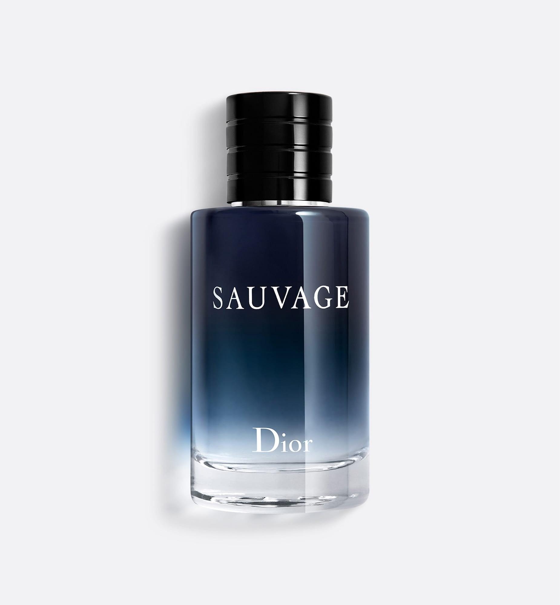 Savage Summit (Inspired by: Dior Sauvage Eau de Parfum)